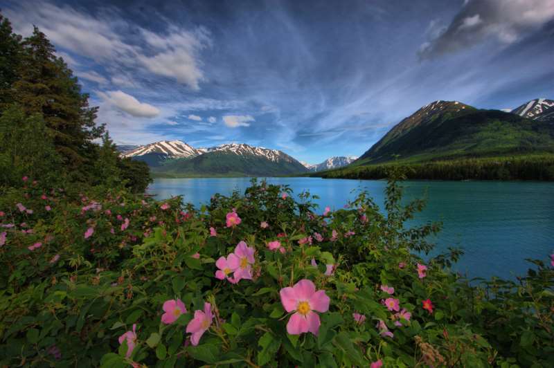 Embassy Suites Anchorage Buitenkant foto